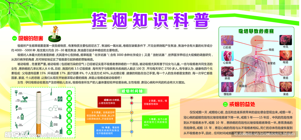 控烟知识科普