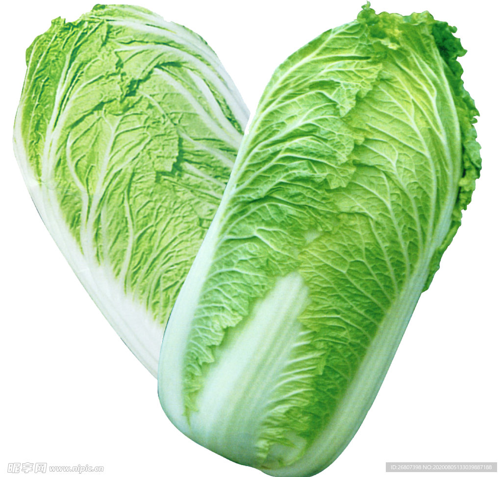 一颗免扣大白菜