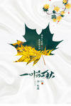 立秋海报