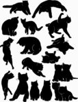 猫咪十二种动态剪影