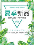 夏季新品