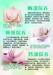 胸部保养 卵巢保养 肾部保养