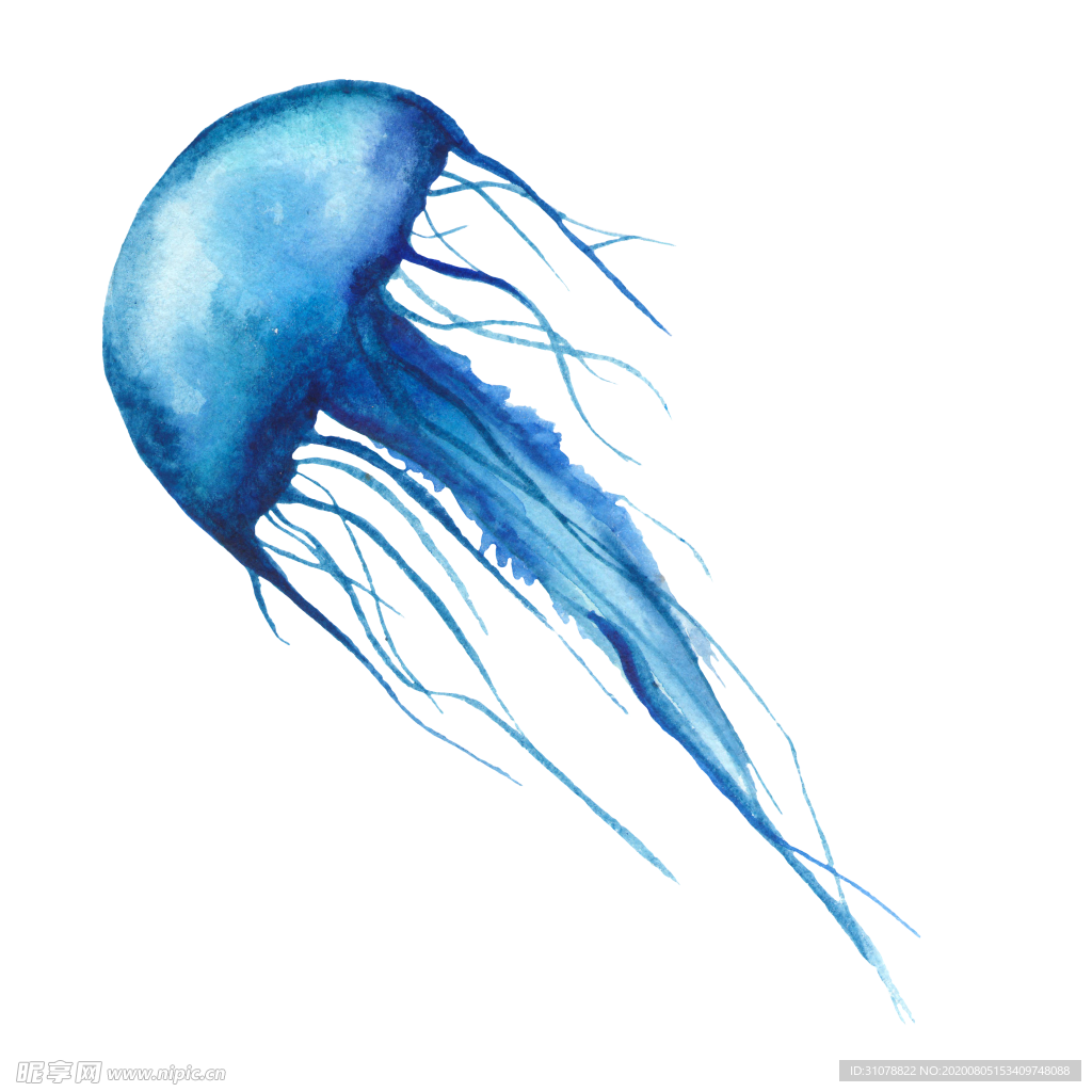 海洋生物水母图案