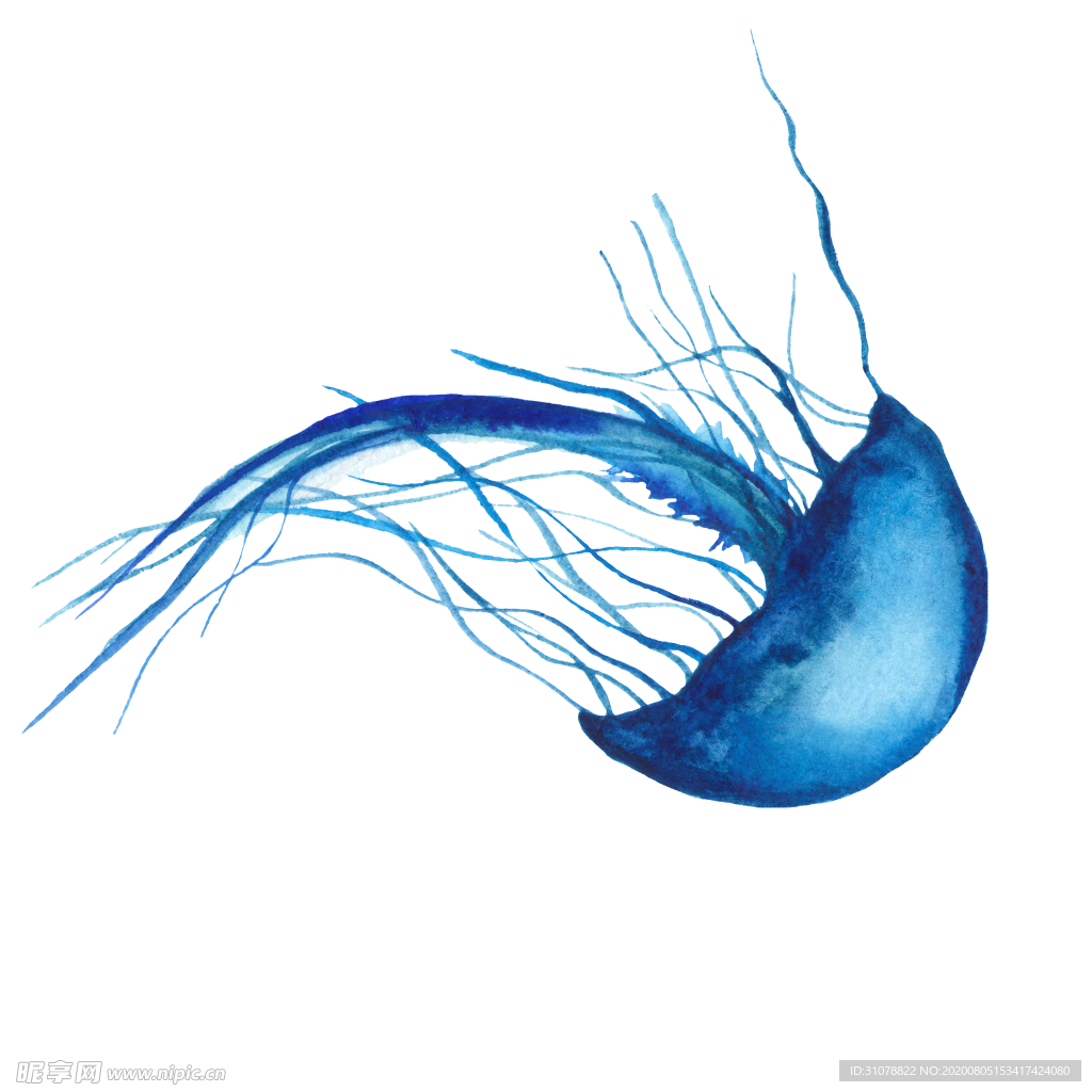 海洋生物水母图案