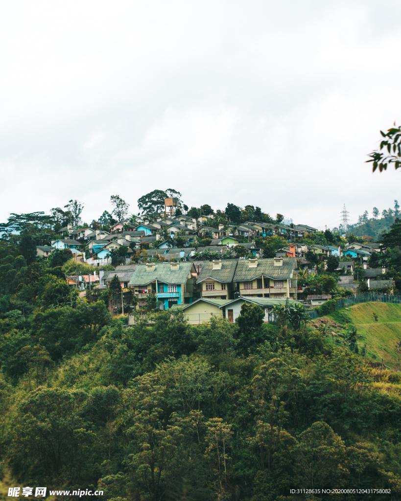 森林 山村