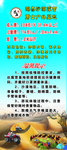 门型展架