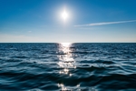 地平线 海洋 太阳 图片