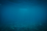 海洋 海底图片