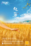 处暑