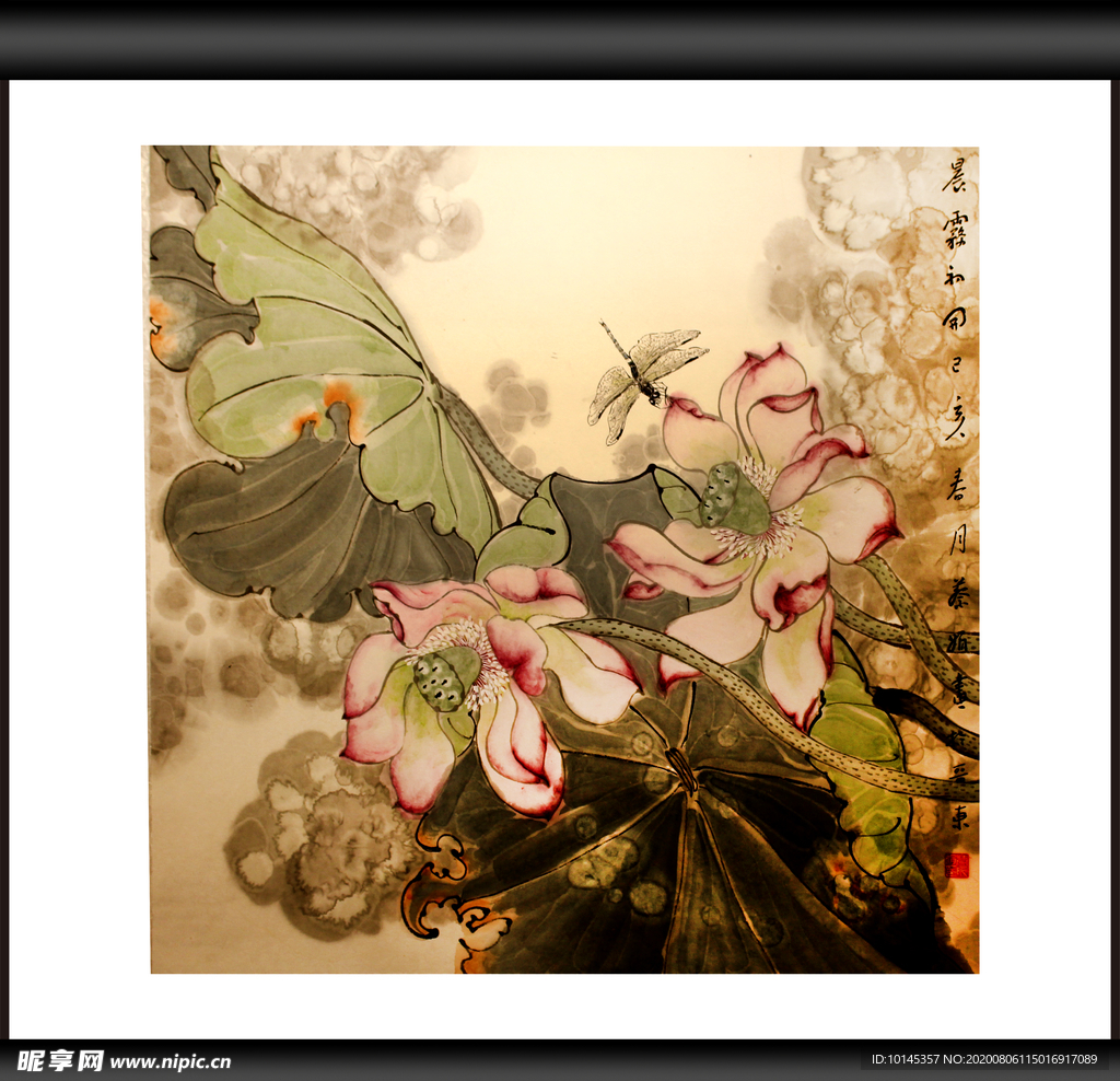 蜻蜓与荷