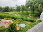 风景