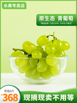 春天海报 绿色素材 春天素材