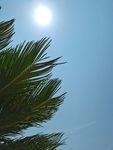 太阳