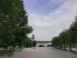 绿荫