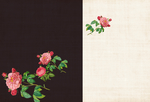 牡丹花朵