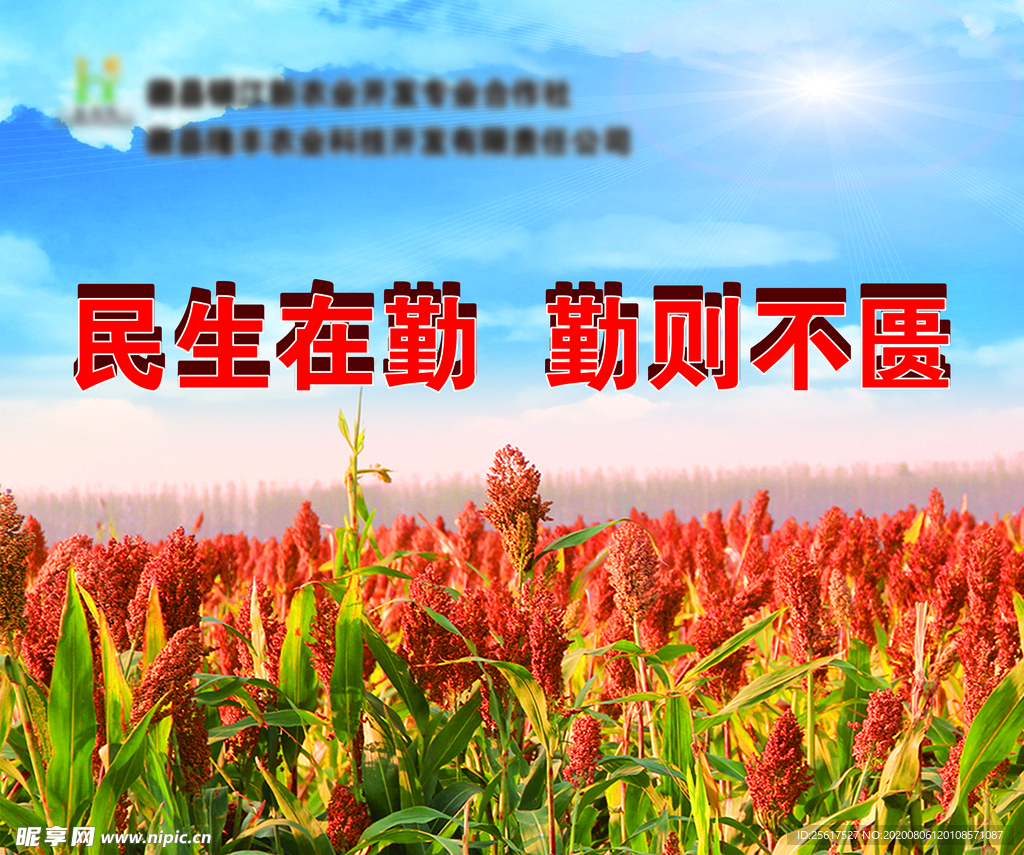 高粱 粮食
