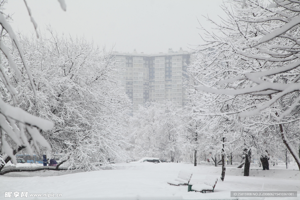 雪景