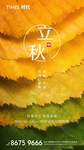 立秋