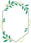 植物边框