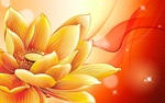 花卉背景墙