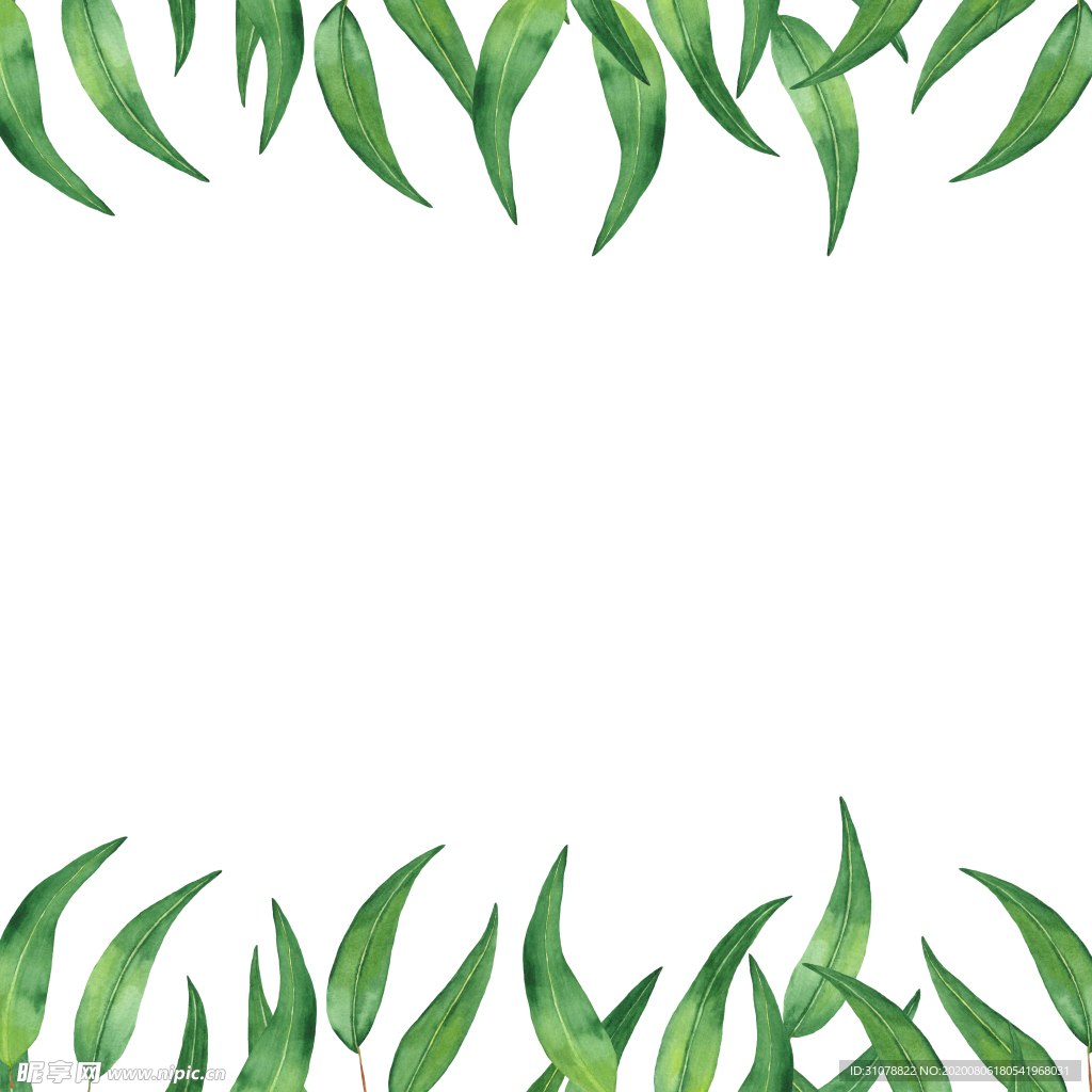小清新水彩植物花朵