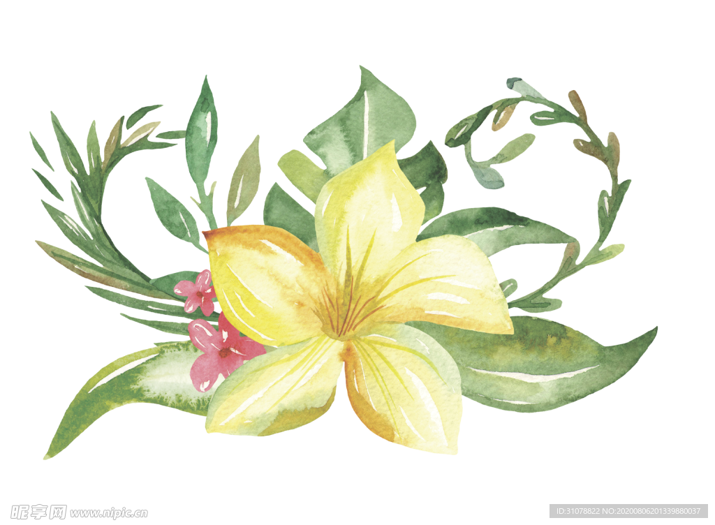 水彩植物花朵图案