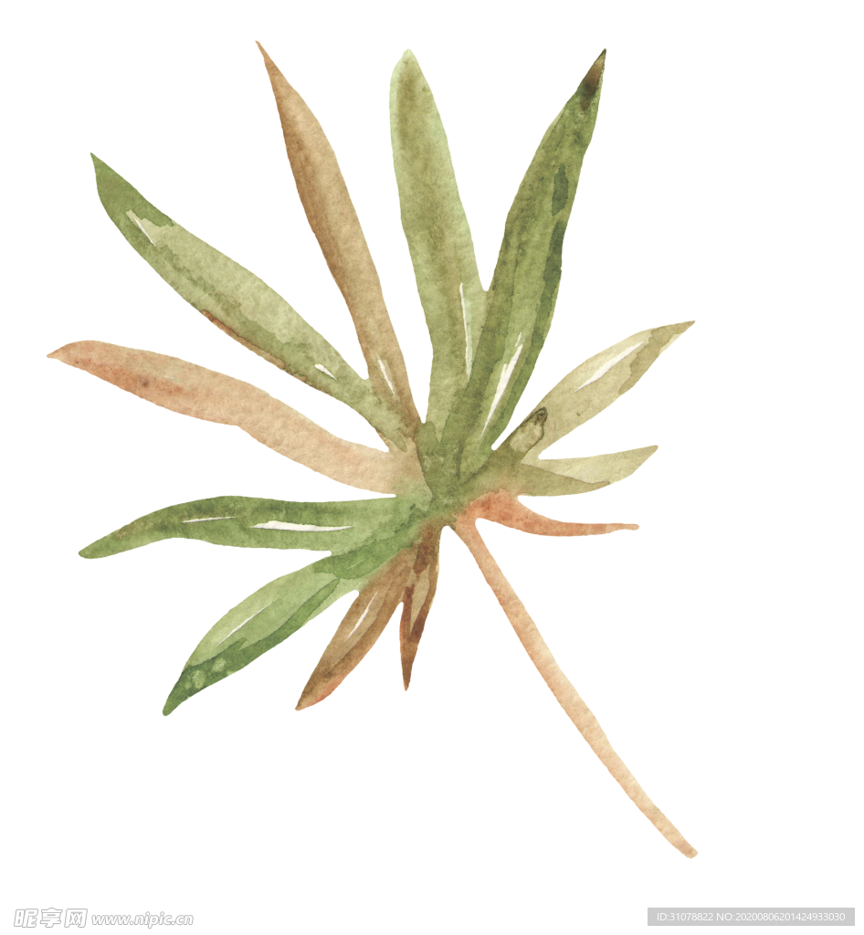 水彩植物花朵图案