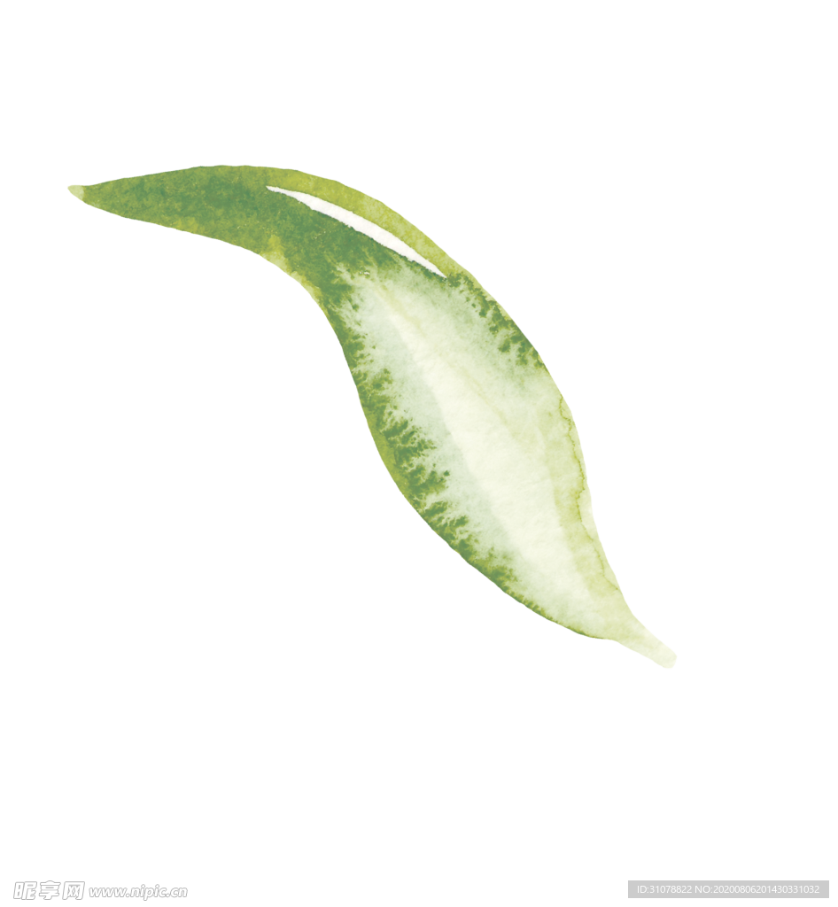 水彩植物花朵图案