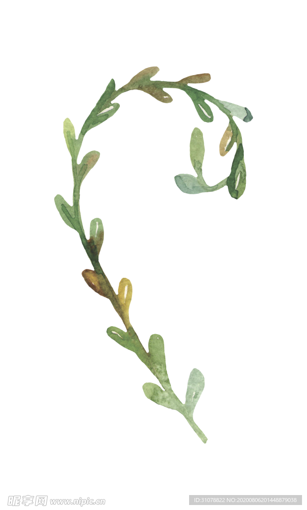 水彩植物花朵图案