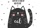 招财猫流氓猫可爱猫咪