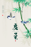夏至海报背面素材