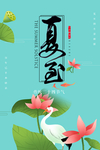 夏至海报背面素材