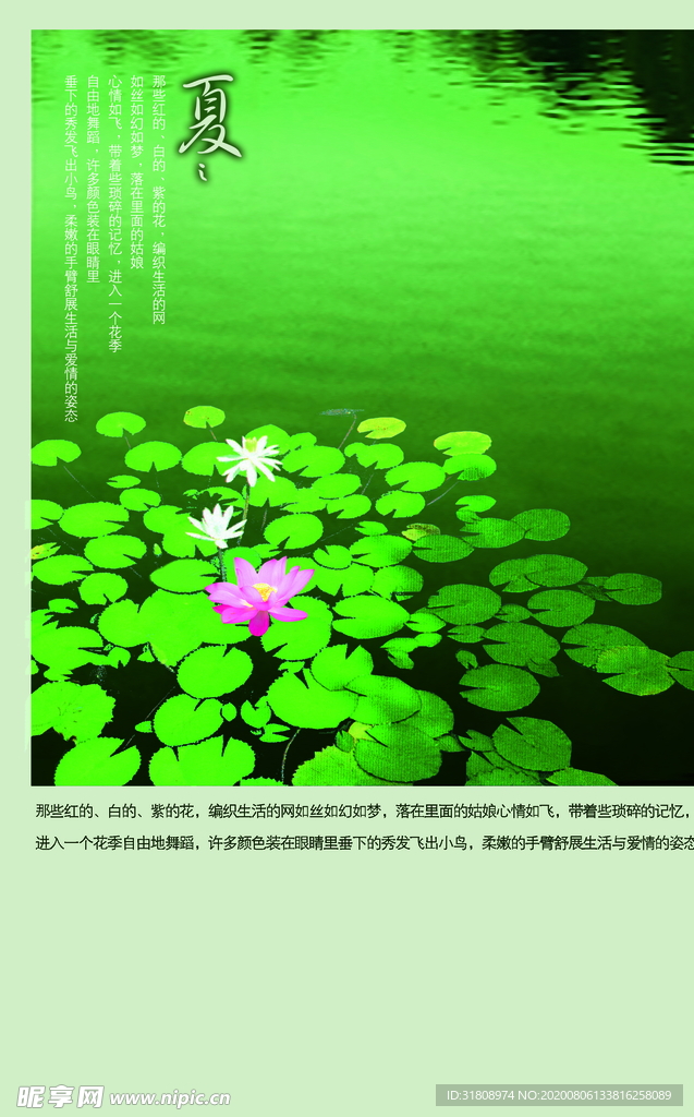 大气园林荷叶荷花创意宣传海报