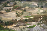 梯田风景图片