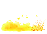 黄花