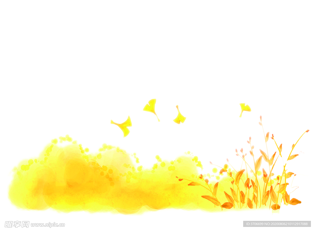 黄花