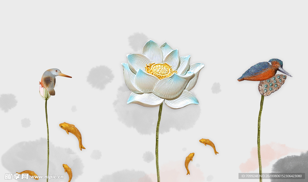 荷花