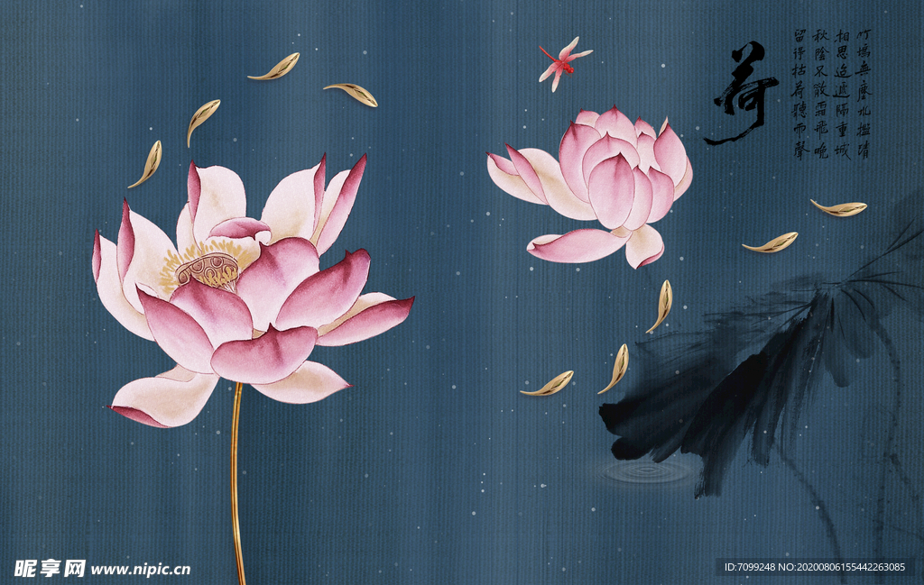 莲花荷花