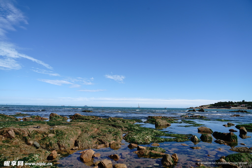 海岸