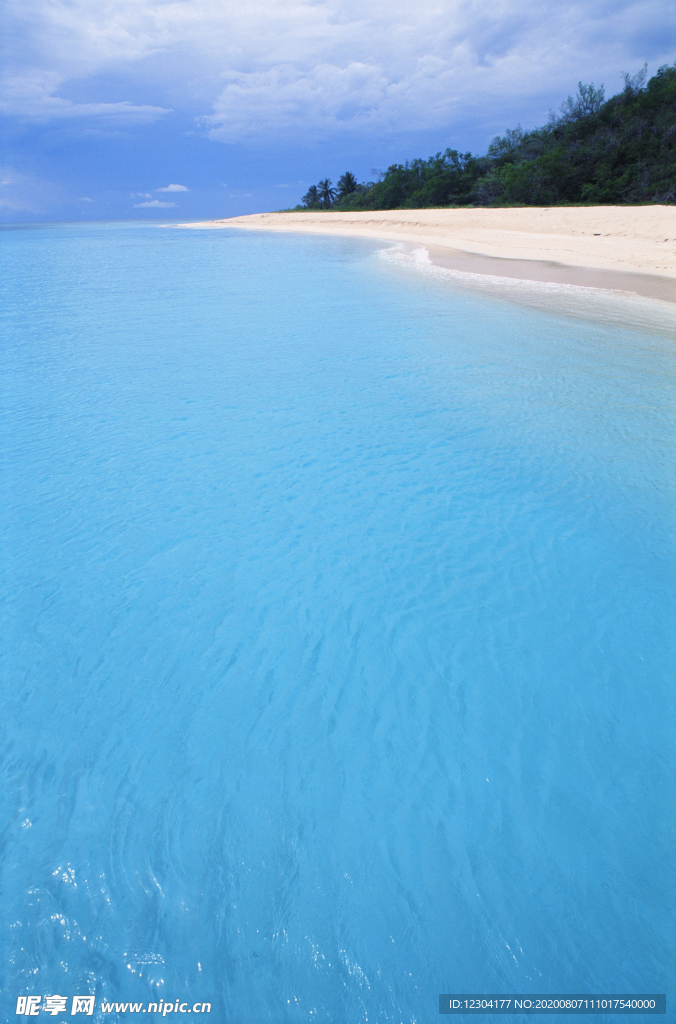 海