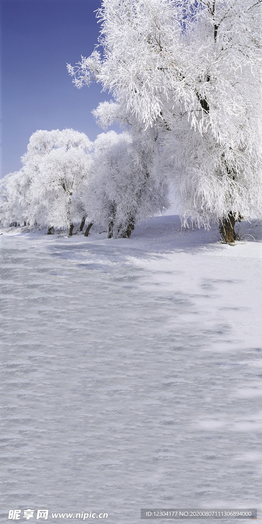 雪地