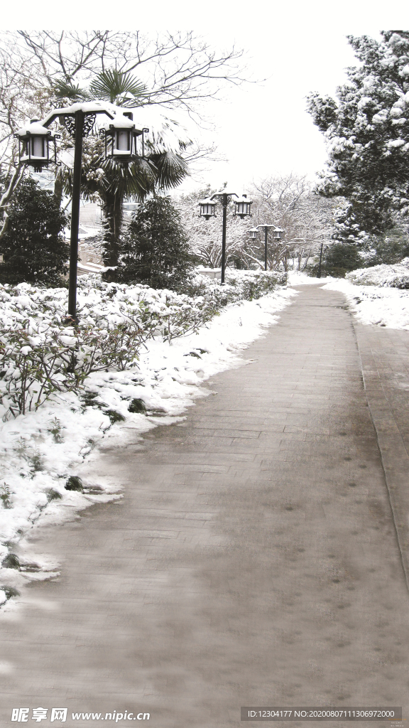 雪地