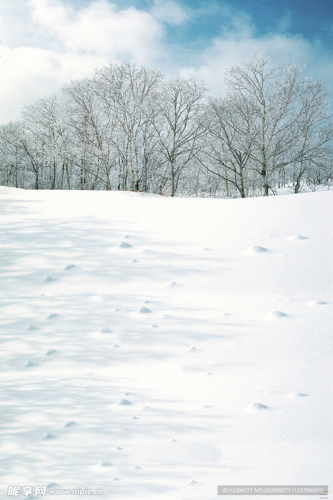 雪地