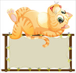 卡通猫