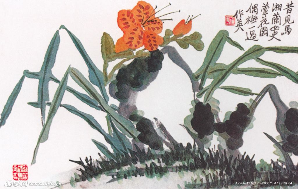 萱花