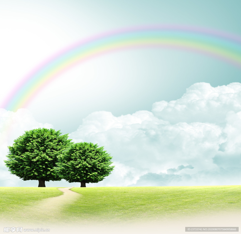 树木 小路 蓝天 彩虹 白云