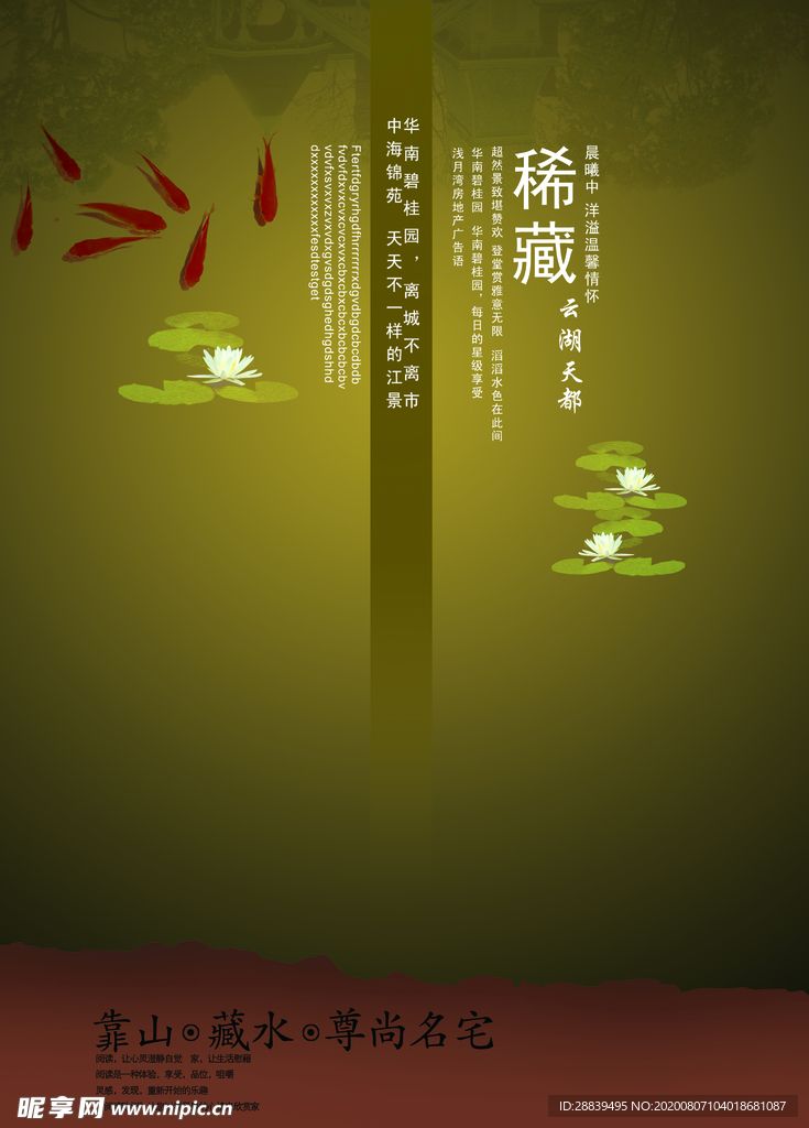 金鱼