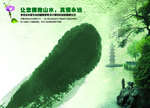绿色景色