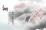 莲花