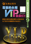 vip字体